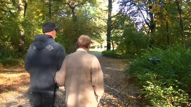 Feliz casal sênior no parque de outono — Vídeo de Stock