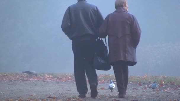 朝の霧深い秋公園で年配のカップル — ストック動画