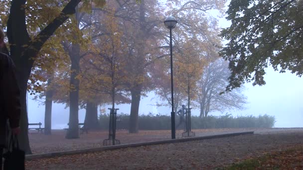 Pareja mayor en el nebuloso parque de otoño por la mañana — Vídeo de stock