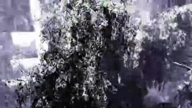 Cadılar Bayramı Kalesi