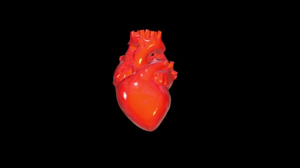 Super strong human heart — Stock Video