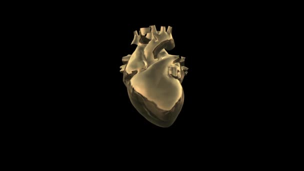 Süper güçlü insan kalbi — Stok video