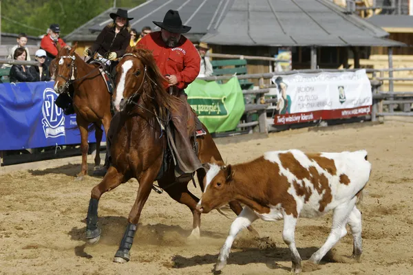 International Rodeo Contest — Stock Photo, Image