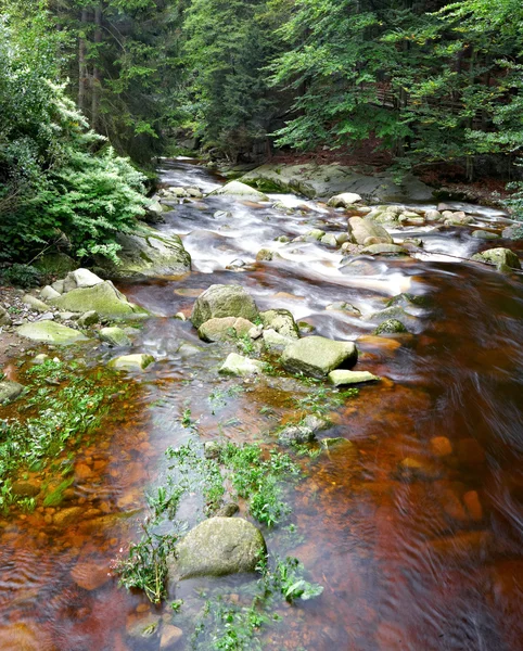 Mountainous creek — Stock Photo, Image