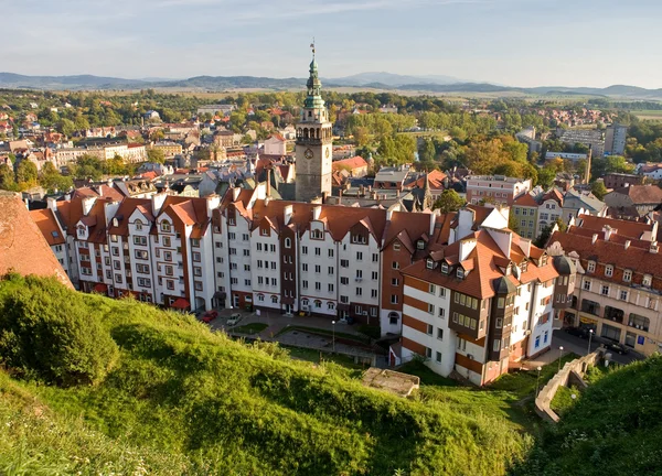 Emlékmű közelében Wroclaw, Lengyelország — Stock Fotó