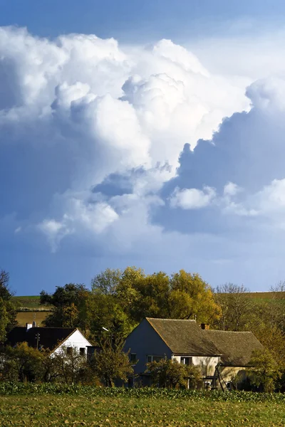 Fields — Stock Photo, Image