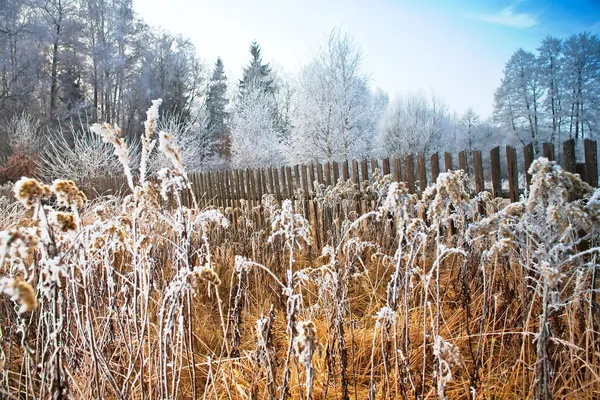 Frozen field — Stock Photo, Image