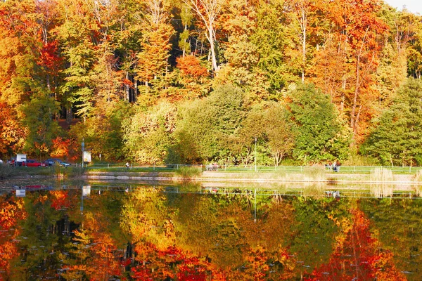 Estacione en otoño — Foto de Stock