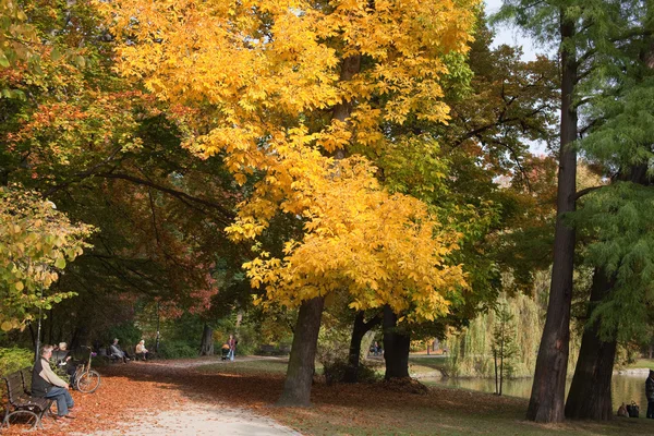 Park in fall time — Stock Photo, Image
