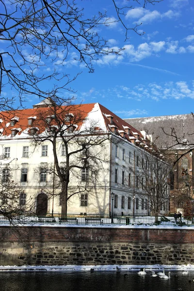 Emlékmű, Wroclaw, Lengyelország — Stock Fotó