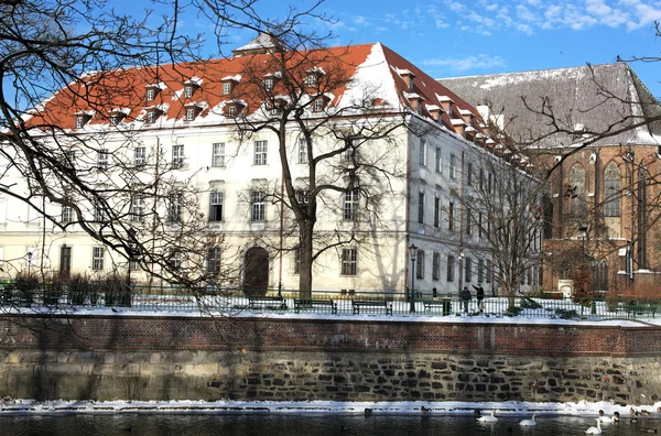 Pomnik w Wrocław, Polska — Zdjęcie stockowe