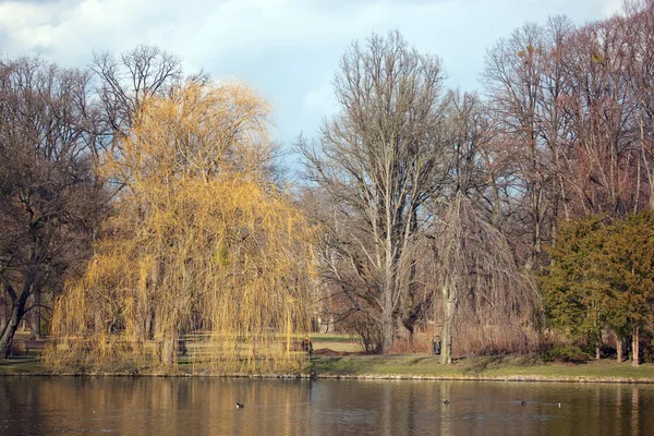 Teich im Park — Stockfoto