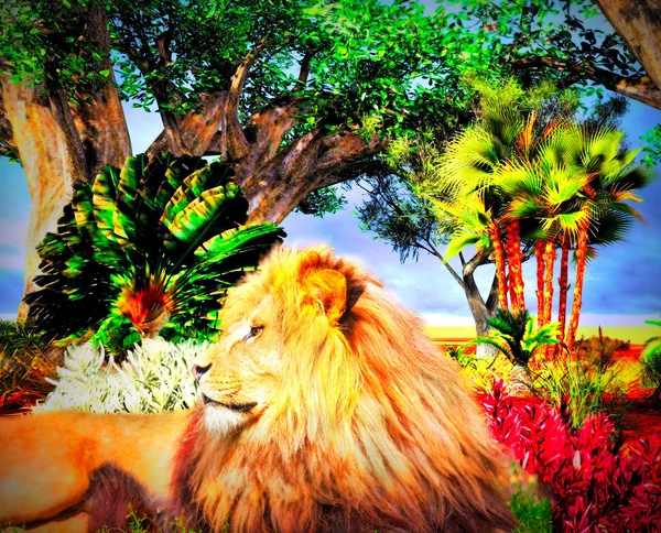 León rersting en savannah — Foto de Stock
