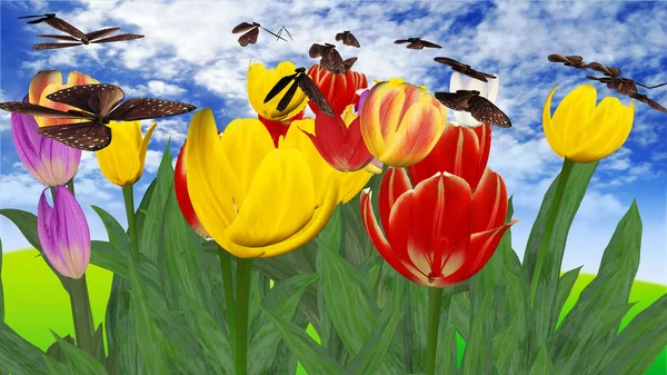 Tulips — Stock Photo, Image