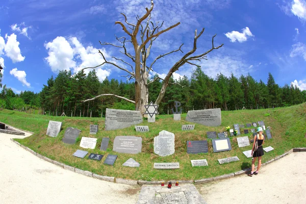 Campo de concentración nazi Gross-Rosen en Polonia —  Fotos de Stock