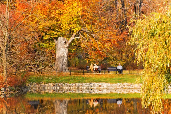Parque em tempo de outono — Fotografia de Stock