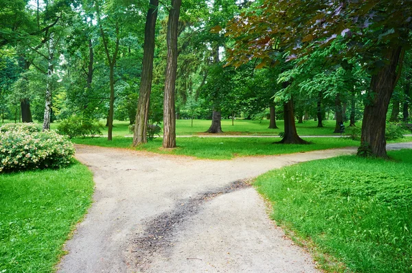 Public park in spring time — Stock Photo, Image