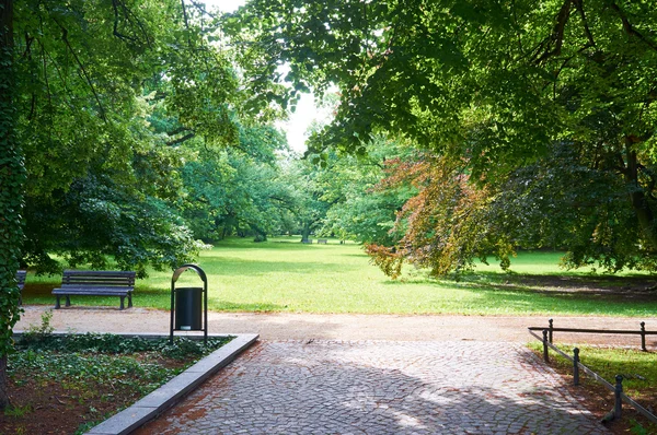 Public park in spring time — Stock Photo, Image