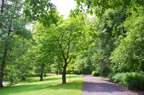 Openbaar park in de lentetijd — Stockfoto