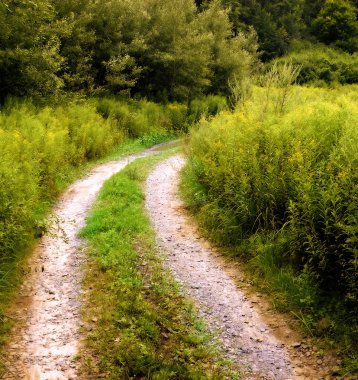 Sonbahar zaman parkta