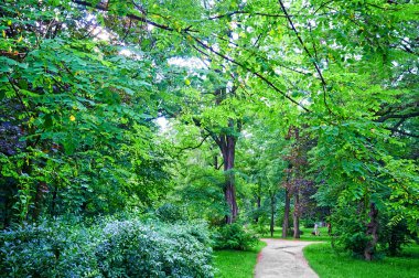 Sonbahar zaman parkta