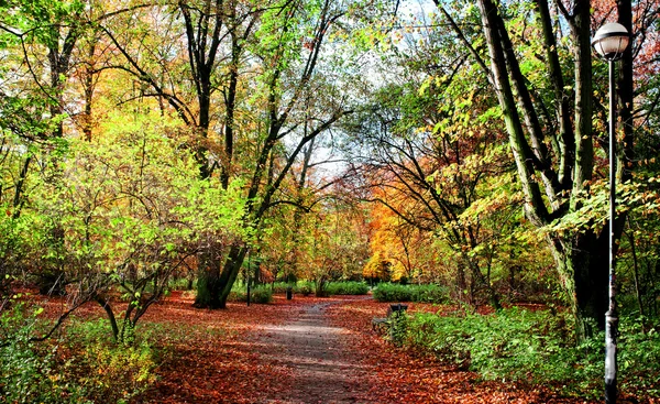 Sonbahar zaman parkta — Stok fotoğraf