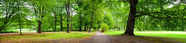 公園の秋の時間 — ストック写真