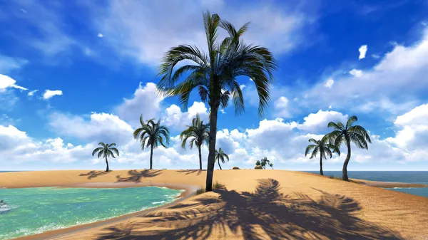 Hawaiian paradise — Stock Photo, Image