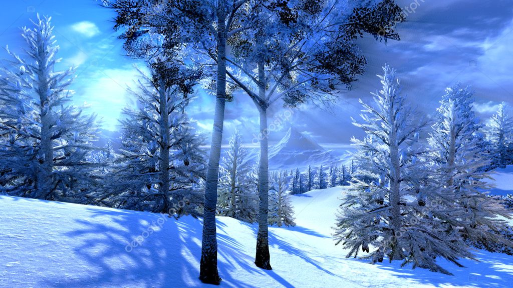 Christmas, magical forest — Stock Photo © DarioStudios 16197579