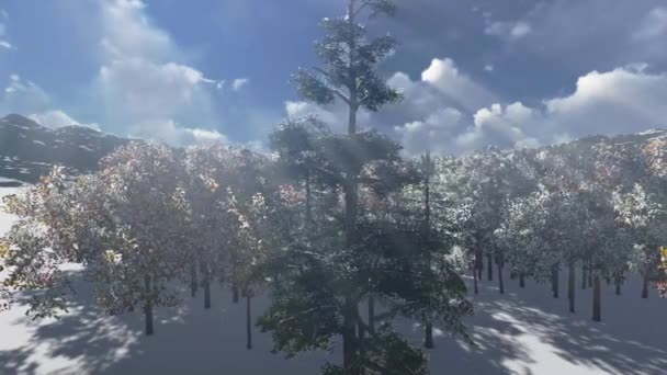 Vánoce, kouzelný les — Stock video