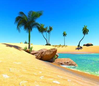 Hawaiian cennet