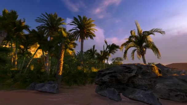 paradis tropical