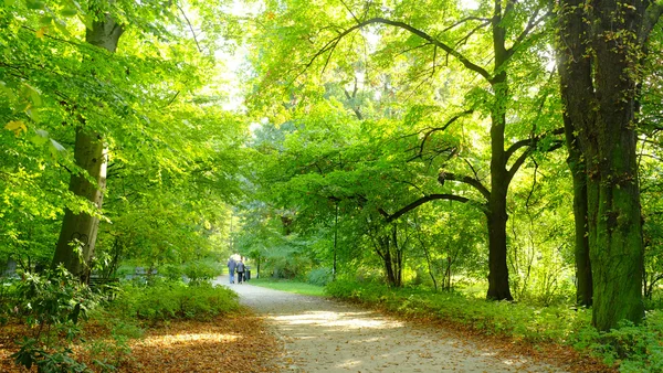 Senioren koppel in het park — Stockfoto