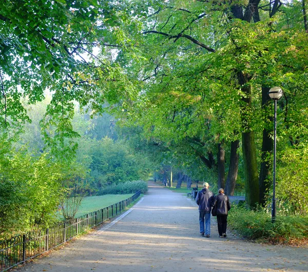 Parktaki yaşlı çift. — Stok fotoğraf