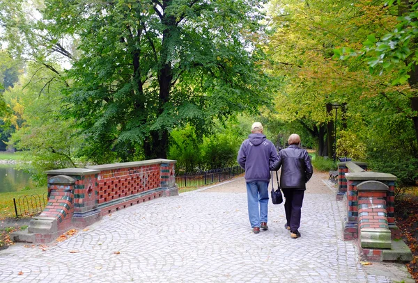 Parktaki yaşlı çift. — Stok fotoğraf