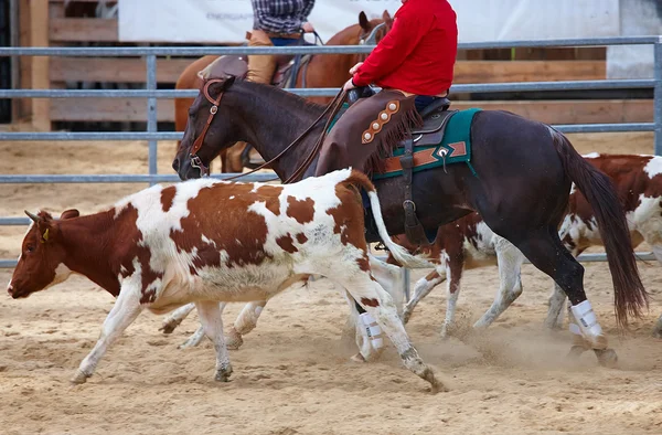 Competição de rodeio está prestes a começar — Fotografia de Stock