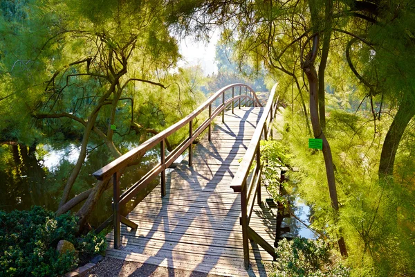 Japanische Brücke — Stockfoto