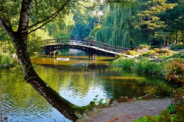 Botanical garden Stock Image