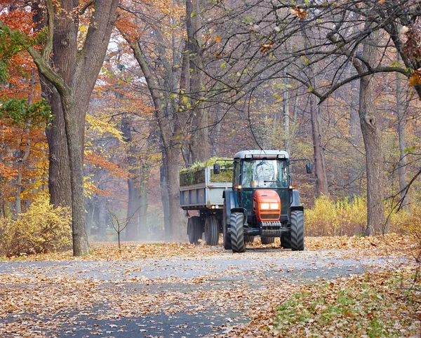 Herbstliche Arbeiten im Park — Stockfoto