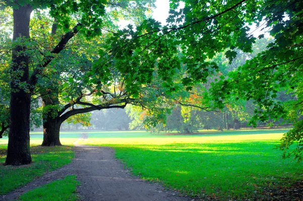 Park in de lentetijd — Stockfoto