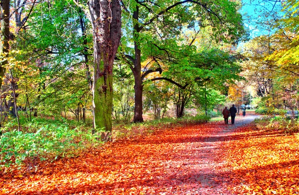 Parktaki yaşlı çift. — Stok fotoğraf