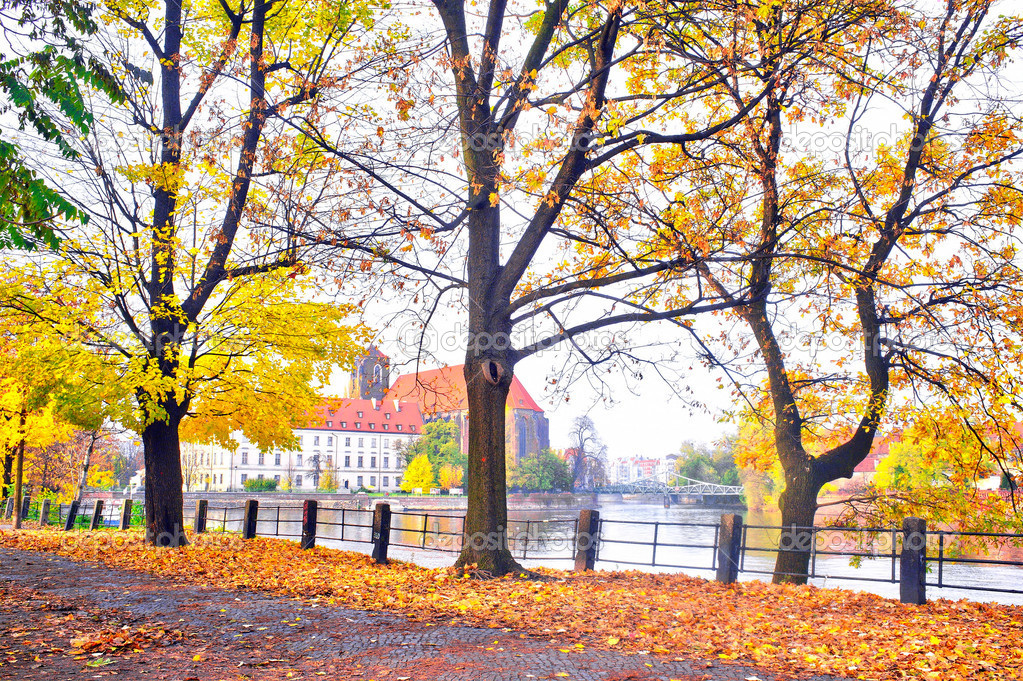 Autumnal scenery in Wroclaw, Poland
