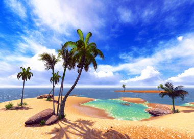 Hawaiian cennet