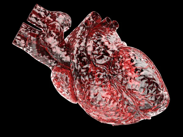 Corazón humano artificial — Foto de Stock