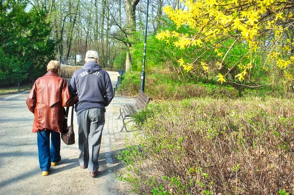 Старшая пара прогулка в парке — стоковое фото