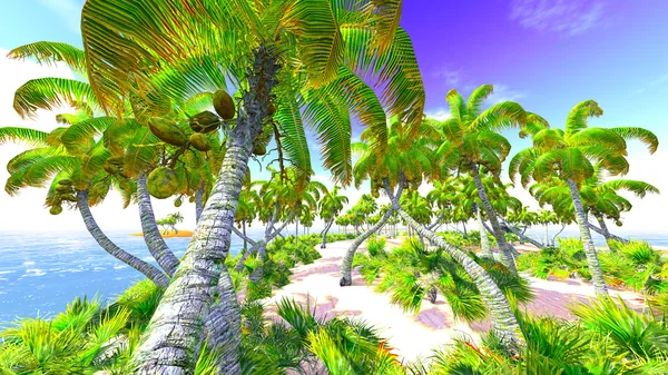 Hawaiianisches Paradies — Stockfoto