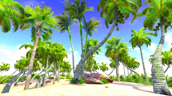 Hawaiian paradise — Stock Photo, Image