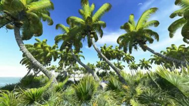 impresionante puesta de sol en hawaii