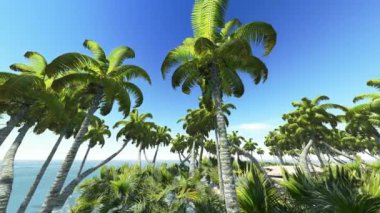 impresionante puesta de sol en hawaii