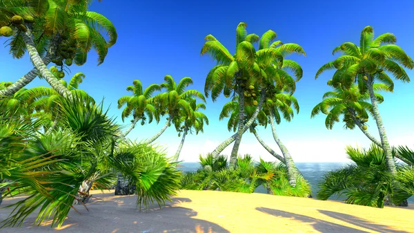 Hawaiianisches Paradies — Stockfoto